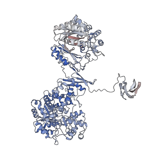 32775_7wtb_B_v1-1
Cryo-EM structure of human pyruvate carboxylase with acetyl-CoA