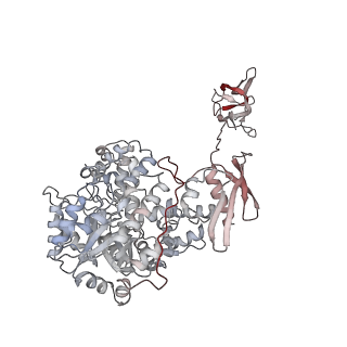 32778_7wtc_C_v1-1
Cryo-EM structure of human pyruvate carboxylase with acetyl-CoA in the ground state