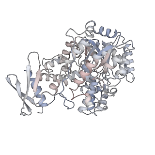 32779_7wtd_A_v1-1
Cryo-EM structure of human pyruvate carboxylase with acetyl-CoA in the intermediate state 1