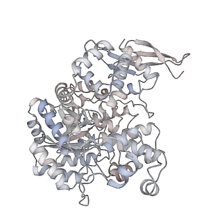 32779_7wtd_B_v1-1
Cryo-EM structure of human pyruvate carboxylase with acetyl-CoA in the intermediate state 1