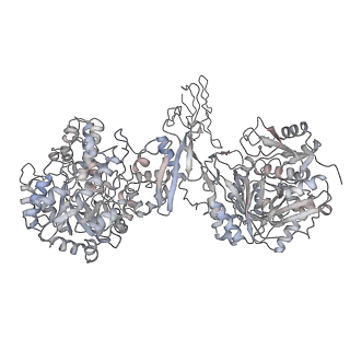 32779_7wtd_C_v1-1
Cryo-EM structure of human pyruvate carboxylase with acetyl-CoA in the intermediate state 1