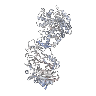 32779_7wtd_D_v1-1
Cryo-EM structure of human pyruvate carboxylase with acetyl-CoA in the intermediate state 1