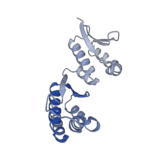 32790_7wtl_CA_v1-2
Cryo-EM structure of a yeast pre-40S ribosomal subunit - State Dis-D