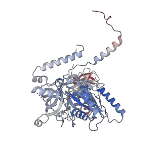 32790_7wtl_CL_v1-2
Cryo-EM structure of a yeast pre-40S ribosomal subunit - State Dis-D
