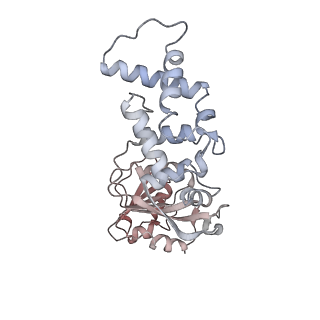 32790_7wtl_JL_v1-2
Cryo-EM structure of a yeast pre-40S ribosomal subunit - State Dis-D