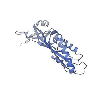32790_7wtl_SB_v1-2
Cryo-EM structure of a yeast pre-40S ribosomal subunit - State Dis-D