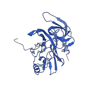 32790_7wtl_SE_v1-2
Cryo-EM structure of a yeast pre-40S ribosomal subunit - State Dis-D