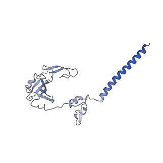 32790_7wtl_SG_v1-2
Cryo-EM structure of a yeast pre-40S ribosomal subunit - State Dis-D
