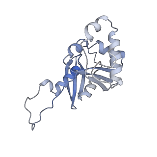 32790_7wtl_SH_v1-2
Cryo-EM structure of a yeast pre-40S ribosomal subunit - State Dis-D