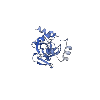 32790_7wtl_SI_v1-2
Cryo-EM structure of a yeast pre-40S ribosomal subunit - State Dis-D