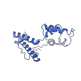 32790_7wtl_SN_v1-2
Cryo-EM structure of a yeast pre-40S ribosomal subunit - State Dis-D