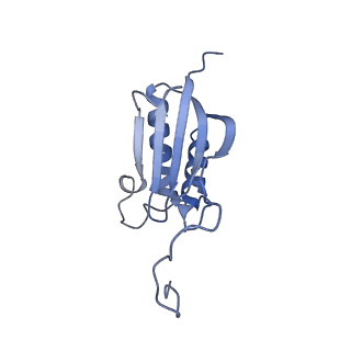 32790_7wtl_SO_v1-2
Cryo-EM structure of a yeast pre-40S ribosomal subunit - State Dis-D