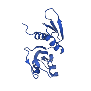 32790_7wtl_SW_v1-2
Cryo-EM structure of a yeast pre-40S ribosomal subunit - State Dis-D
