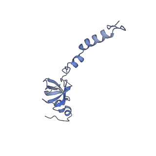 32790_7wtl_SX_v1-2
Cryo-EM structure of a yeast pre-40S ribosomal subunit - State Dis-D