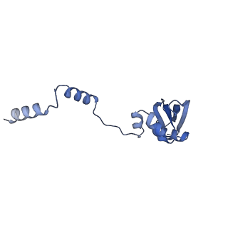 32790_7wtl_SY_v1-2
Cryo-EM structure of a yeast pre-40S ribosomal subunit - State Dis-D