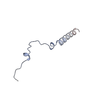 32790_7wtl_UC_v1-2
Cryo-EM structure of a yeast pre-40S ribosomal subunit - State Dis-D