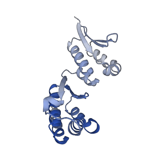 32791_7wtm_CA_v1-2
Cryo-EM structure of a yeast pre-40S ribosomal subunit - State Dis-E