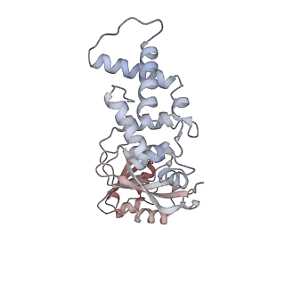 32791_7wtm_JL_v1-2
Cryo-EM structure of a yeast pre-40S ribosomal subunit - State Dis-E