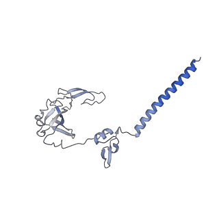 32791_7wtm_SG_v1-2
Cryo-EM structure of a yeast pre-40S ribosomal subunit - State Dis-E