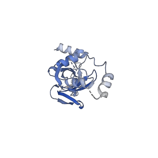 32791_7wtm_SI_v1-2
Cryo-EM structure of a yeast pre-40S ribosomal subunit - State Dis-E