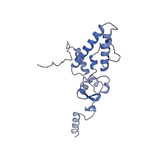 32791_7wtm_SJ_v1-2
Cryo-EM structure of a yeast pre-40S ribosomal subunit - State Dis-E