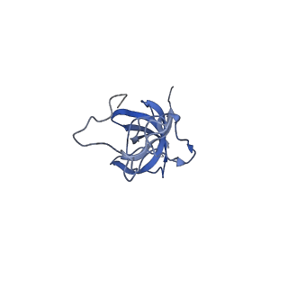 32791_7wtm_SL_v1-2
Cryo-EM structure of a yeast pre-40S ribosomal subunit - State Dis-E