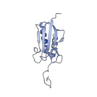 32791_7wtm_SO_v1-2
Cryo-EM structure of a yeast pre-40S ribosomal subunit - State Dis-E