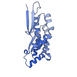 32792_7wtn_CA_v1-2
Cryo-EM structure of a yeast pre-40S ribosomal subunit - State Tsr1-1 (with Rps2)
