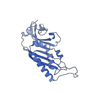 32792_7wtn_SB_v1-2
Cryo-EM structure of a yeast pre-40S ribosomal subunit - State Tsr1-1 (with Rps2)