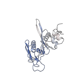 32792_7wtn_SC_v1-2
Cryo-EM structure of a yeast pre-40S ribosomal subunit - State Tsr1-1 (with Rps2)