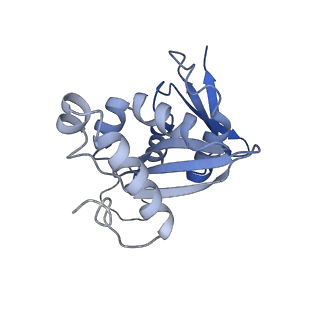 32792_7wtn_SH_v1-2
Cryo-EM structure of a yeast pre-40S ribosomal subunit - State Tsr1-1 (with Rps2)