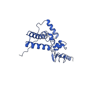 32792_7wtn_SJ_v1-2
Cryo-EM structure of a yeast pre-40S ribosomal subunit - State Tsr1-1 (with Rps2)