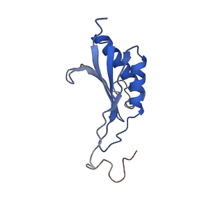 32792_7wtn_SO_v1-2
Cryo-EM structure of a yeast pre-40S ribosomal subunit - State Tsr1-1 (with Rps2)