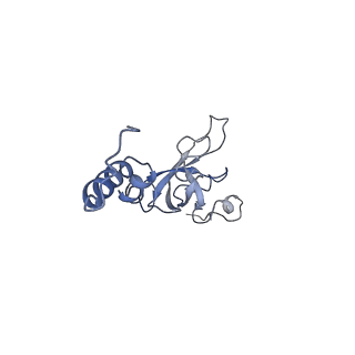 32792_7wtn_SX_v1-2
Cryo-EM structure of a yeast pre-40S ribosomal subunit - State Tsr1-1 (with Rps2)