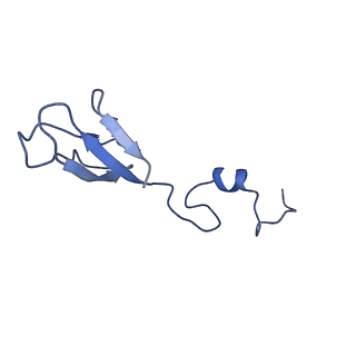 32792_7wtn_Sb_v1-2
Cryo-EM structure of a yeast pre-40S ribosomal subunit - State Tsr1-1 (with Rps2)