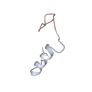 32792_7wtn_Se_v1-2
Cryo-EM structure of a yeast pre-40S ribosomal subunit - State Tsr1-1 (with Rps2)