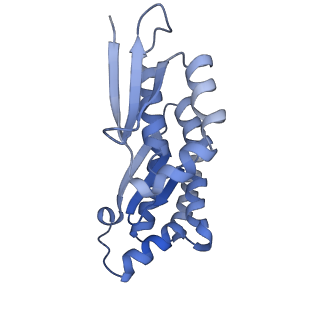32793_7wto_CA_v1-2
Cryo-EM structure of a yeast pre-40S ribosomal subunit - State Tsr1-1 (without Rps2)