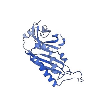 32793_7wto_SB_v1-2
Cryo-EM structure of a yeast pre-40S ribosomal subunit - State Tsr1-1 (without Rps2)