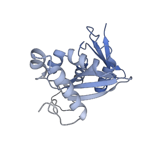 32793_7wto_SH_v1-2
Cryo-EM structure of a yeast pre-40S ribosomal subunit - State Tsr1-1 (without Rps2)