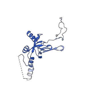 32793_7wto_SI_v1-2
Cryo-EM structure of a yeast pre-40S ribosomal subunit - State Tsr1-1 (without Rps2)