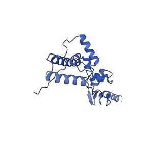 32793_7wto_SJ_v1-2
Cryo-EM structure of a yeast pre-40S ribosomal subunit - State Tsr1-1 (without Rps2)