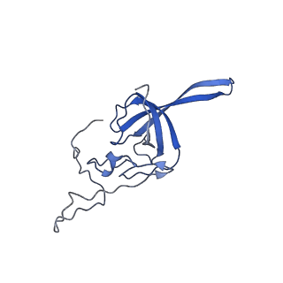 32793_7wto_SL_v1-2
Cryo-EM structure of a yeast pre-40S ribosomal subunit - State Tsr1-1 (without Rps2)