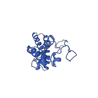 32793_7wto_SN_v1-2
Cryo-EM structure of a yeast pre-40S ribosomal subunit - State Tsr1-1 (without Rps2)