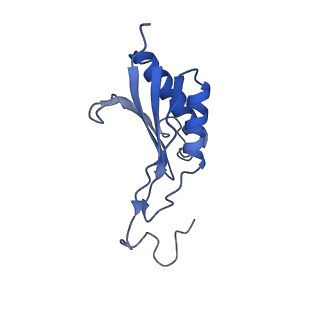 32793_7wto_SO_v1-2
Cryo-EM structure of a yeast pre-40S ribosomal subunit - State Tsr1-1 (without Rps2)