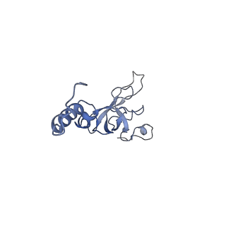 32793_7wto_SX_v1-2
Cryo-EM structure of a yeast pre-40S ribosomal subunit - State Tsr1-1 (without Rps2)