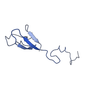 32793_7wto_Sb_v1-2
Cryo-EM structure of a yeast pre-40S ribosomal subunit - State Tsr1-1 (without Rps2)