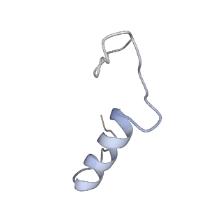 32793_7wto_Se_v1-2
Cryo-EM structure of a yeast pre-40S ribosomal subunit - State Tsr1-1 (without Rps2)