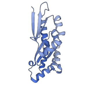32794_7wtp_CA_v1-2
Cryo-EM structure of a yeast pre-40S ribosomal subunit - State Tsr1-2 (with Rps2)