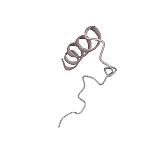 32794_7wtp_CB_v1-2
Cryo-EM structure of a yeast pre-40S ribosomal subunit - State Tsr1-2 (with Rps2)