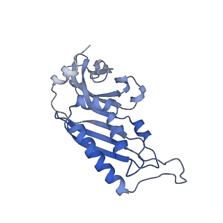 32794_7wtp_SB_v1-2
Cryo-EM structure of a yeast pre-40S ribosomal subunit - State Tsr1-2 (with Rps2)